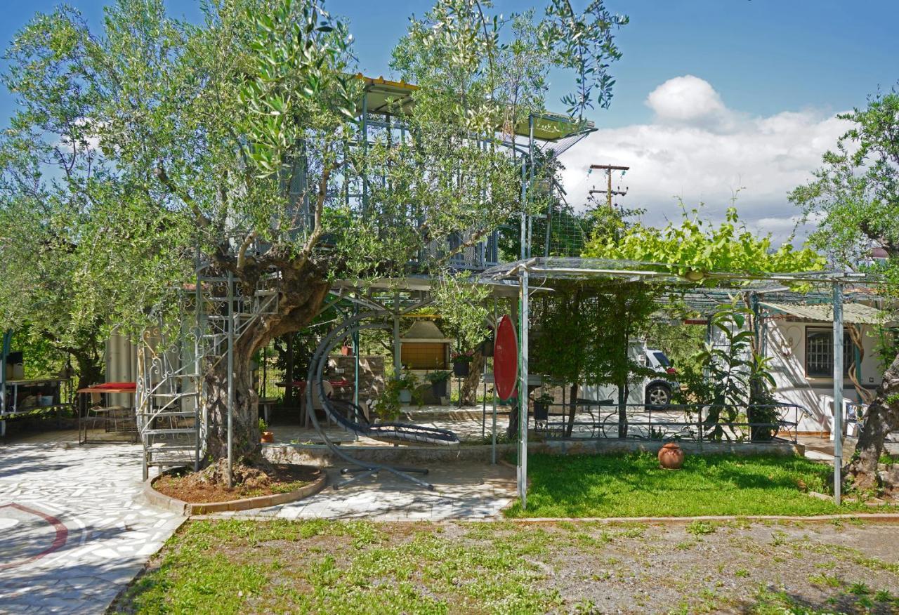 Veni Olive House Villa Kalamata Exterior photo