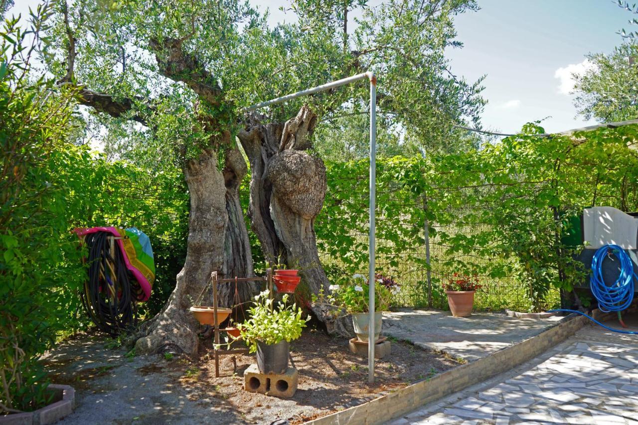 Veni Olive House Villa Kalamata Exterior photo