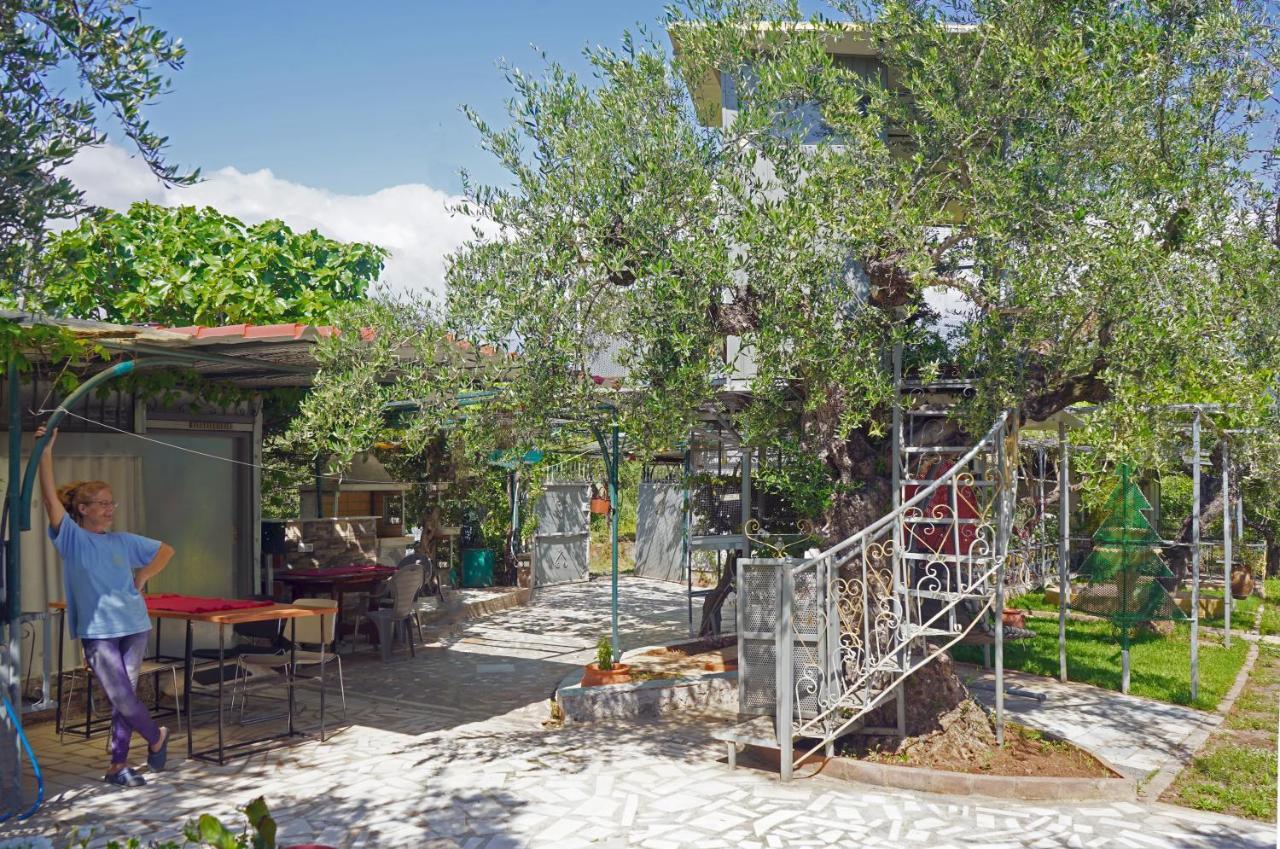 Veni Olive House Villa Kalamata Exterior photo